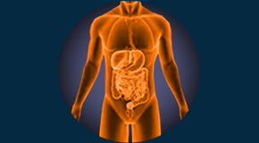 Atualiza26 | Gastrointestinal - Doença difusa hepática - Importância e avaliação objetiva por múltiplos métodos de imagem