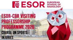 Curso CBR/ESOR Visiting Professorship Course On Sports Injuries