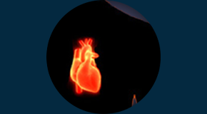 Atualiza26 | Cardiovascular - Angiotomografia E Angiorressonância: O Que O Radiologista Geral Precisa Saber
