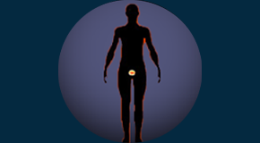 Atualiza26 | Métodos Híbridos - Anatomia Radiológica Aplicada a Métodos Híbridos (PET/CT, PET/RM, SPECT/CT)